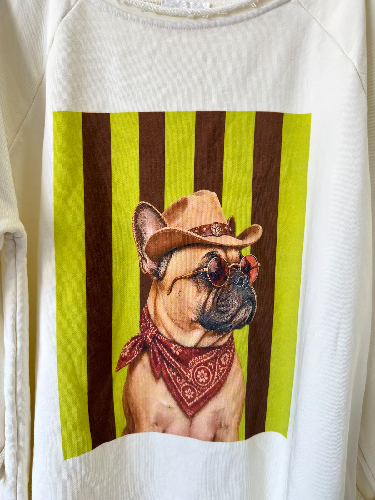 Blusa Dog
